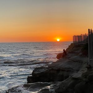 Meet your Posher, Shane